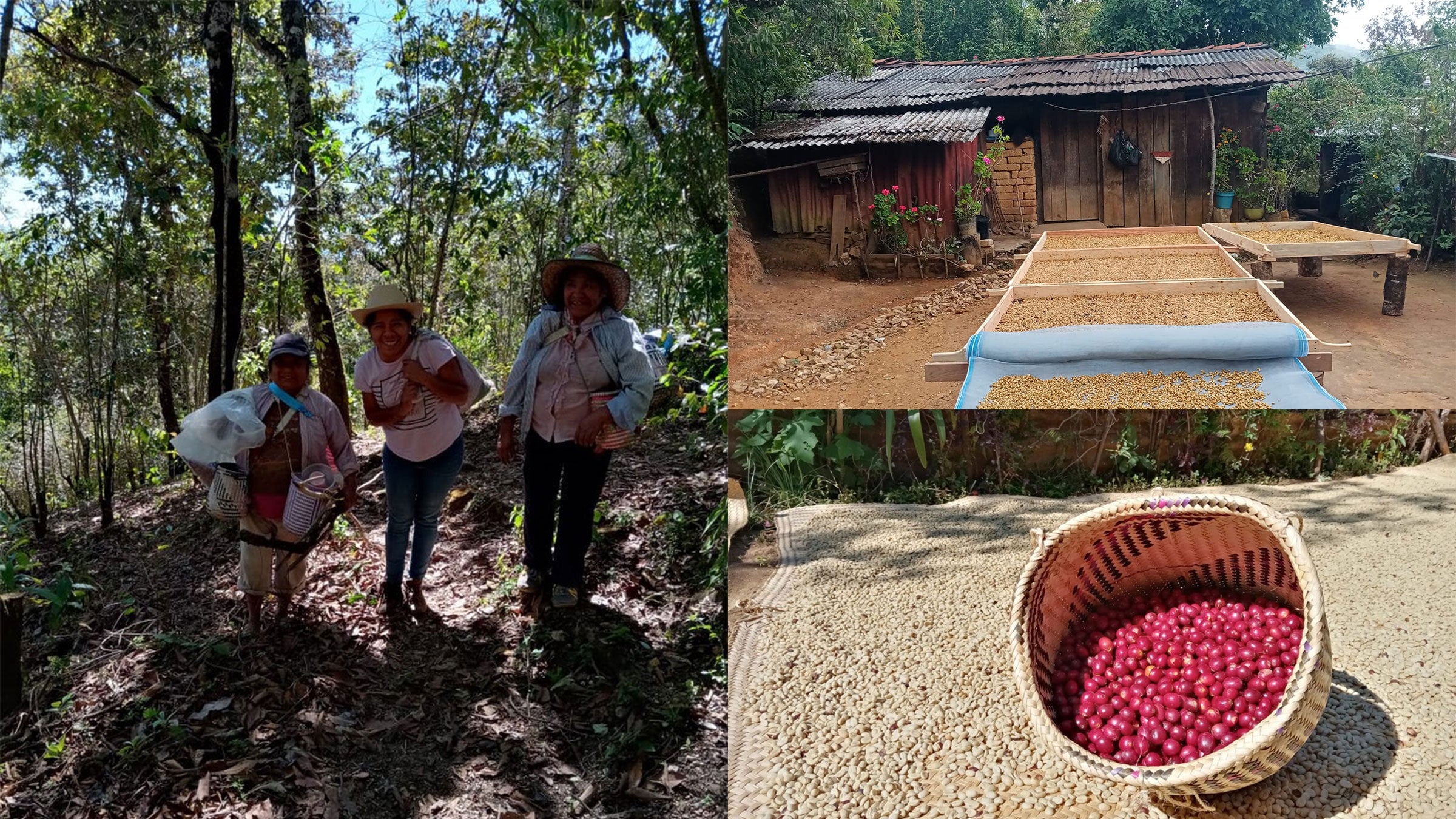 52 Coffee Subscription