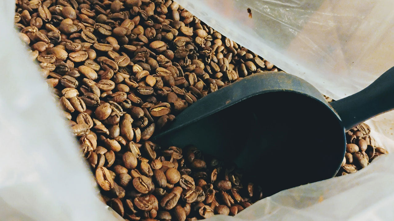 The Art of Hand-Roasted Perfection: Inside Sabor52’s Craft