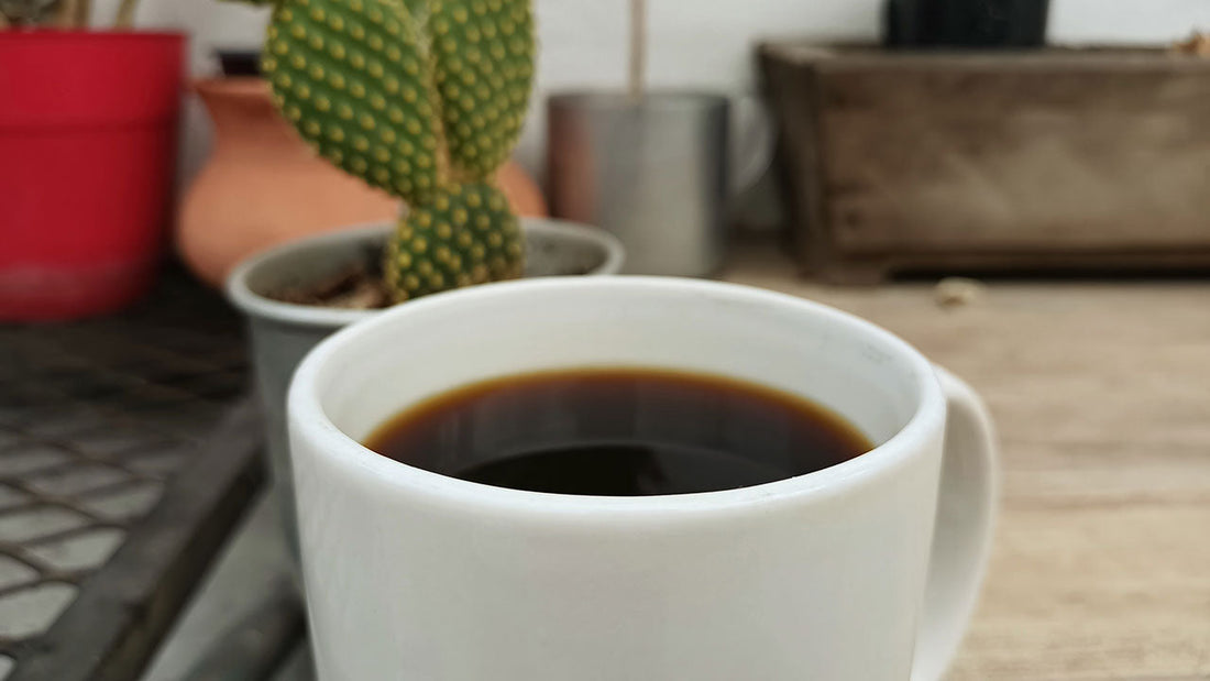 Why Mexican Coffee Deserves a Spot in Your Daily Ritual