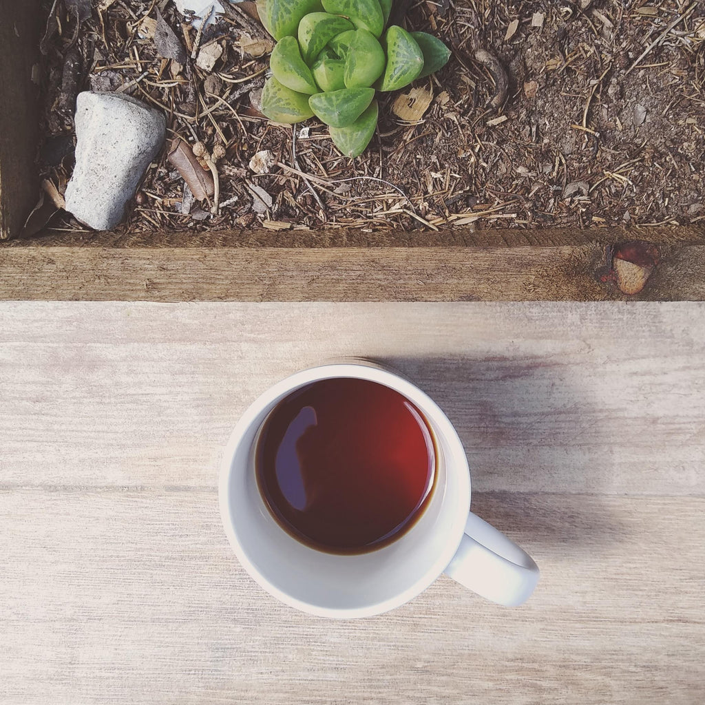 52 Oaxaca Origin Coffee